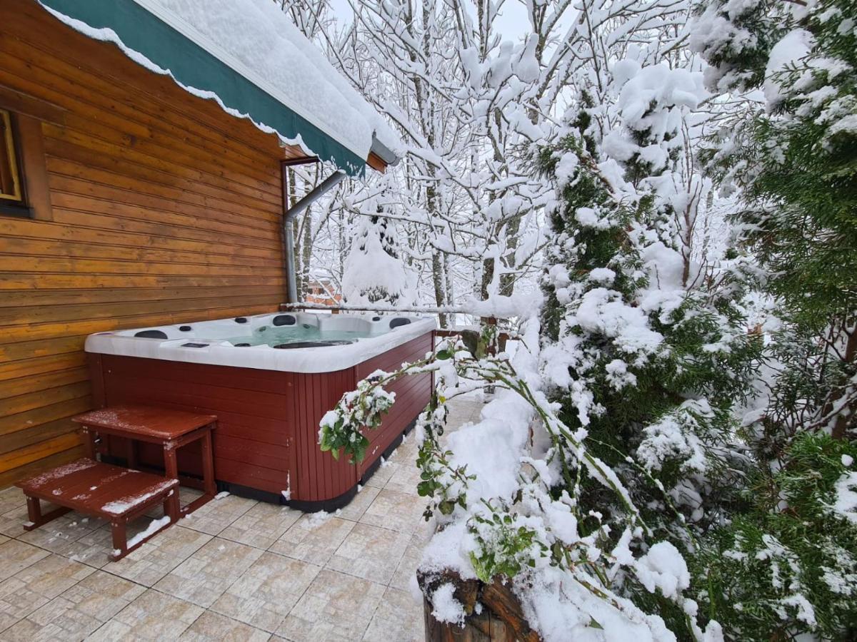 House Poljana Villa Plitvička Jezera Exteriör bild