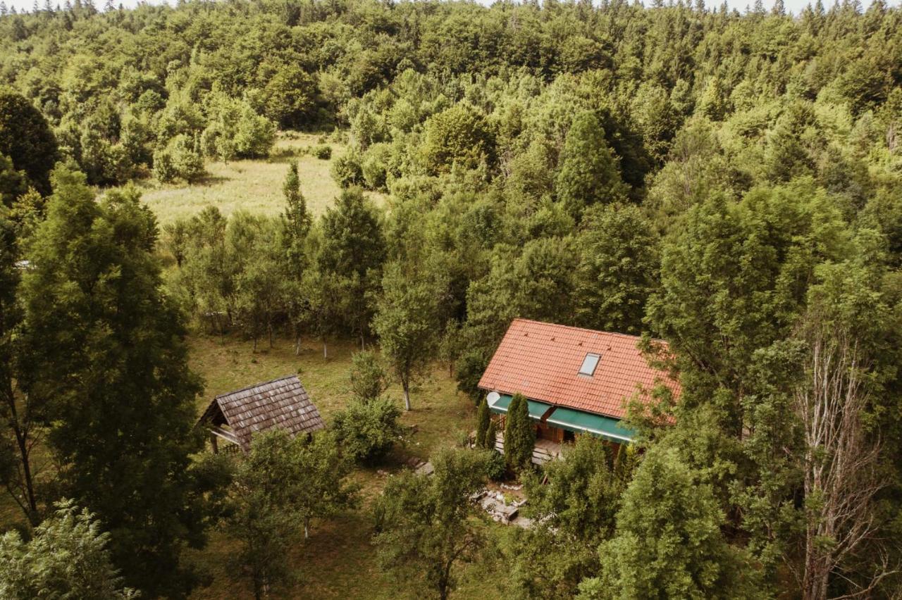 House Poljana Villa Plitvička Jezera Exteriör bild