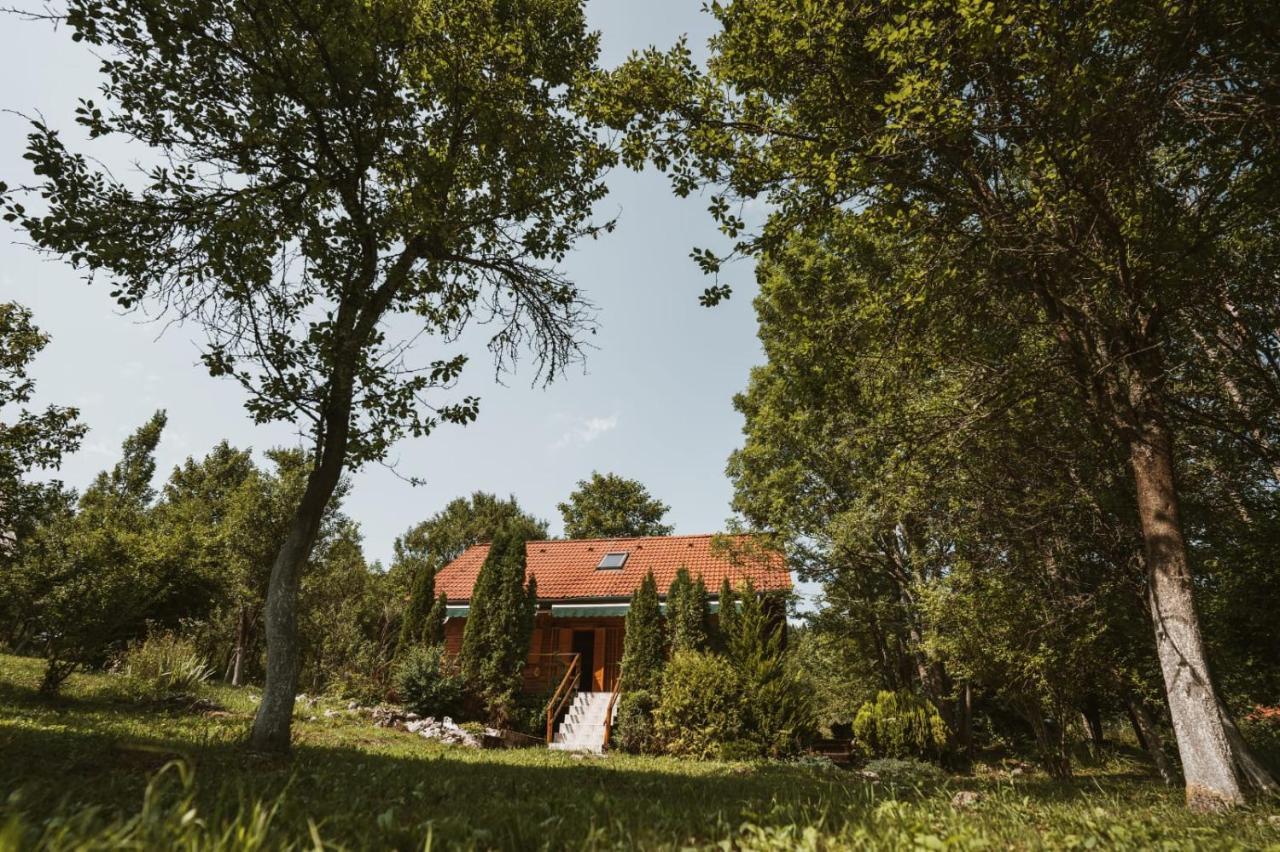 House Poljana Villa Plitvička Jezera Exteriör bild