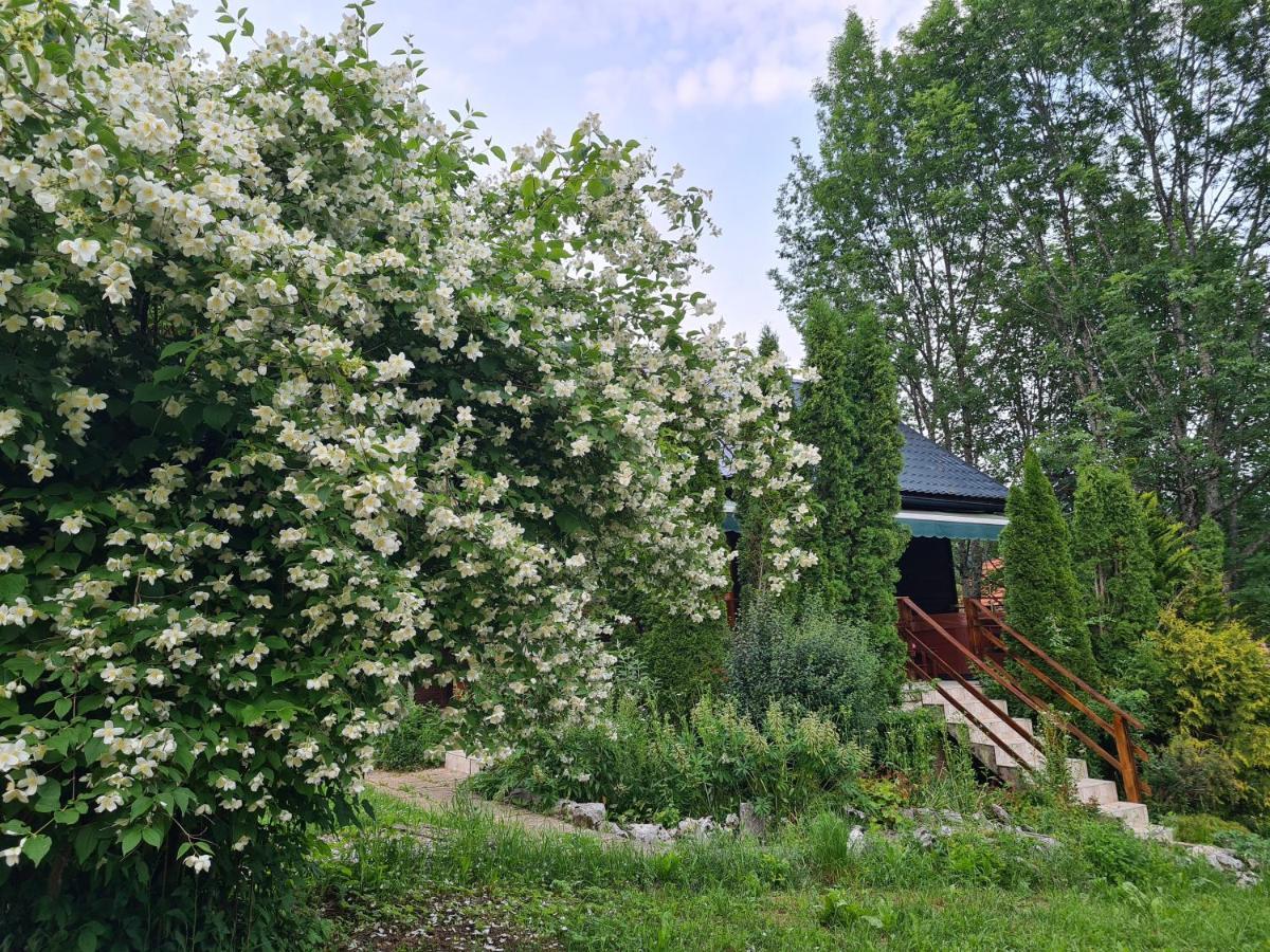 House Poljana Villa Plitvička Jezera Exteriör bild