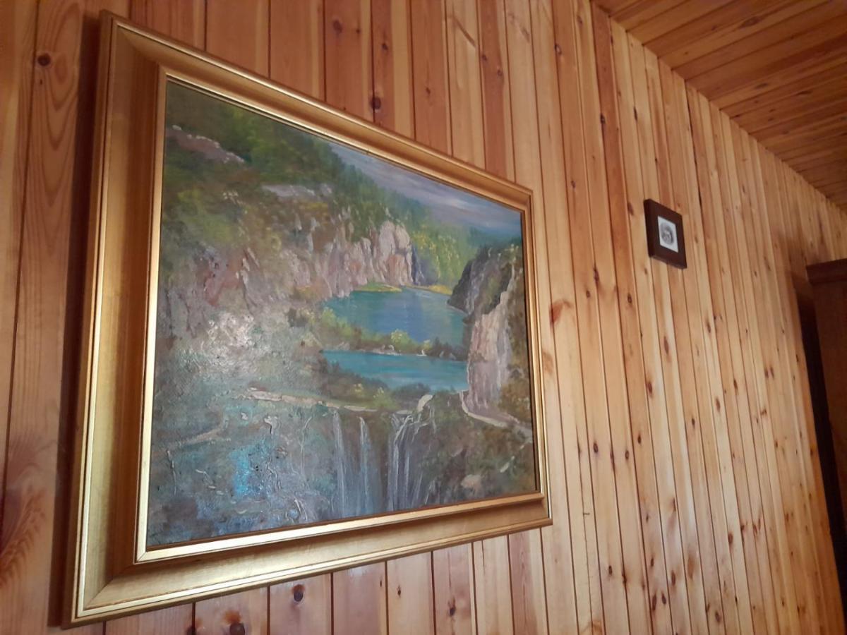 House Poljana Villa Plitvička Jezera Exteriör bild