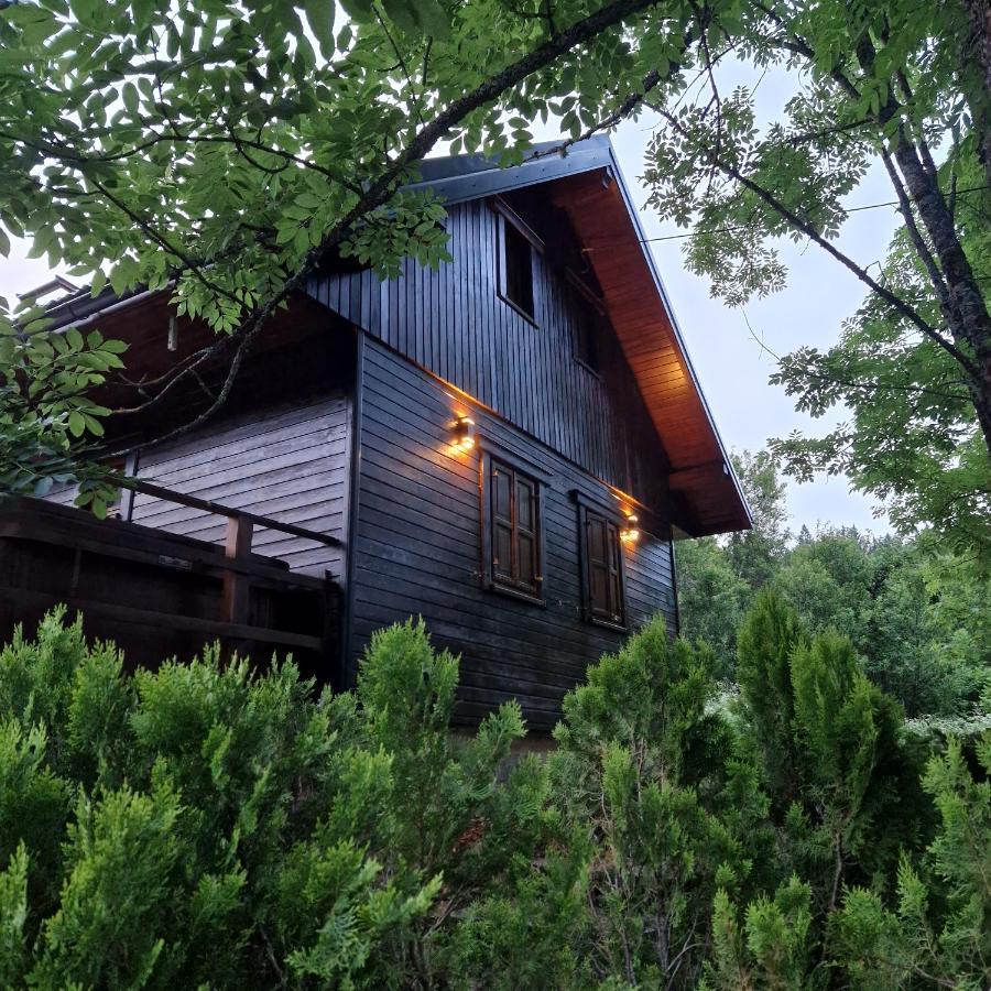 House Poljana Villa Plitvička Jezera Exteriör bild